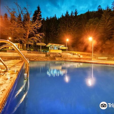 Апартаменты Day In Боржоми Экстерьер фото